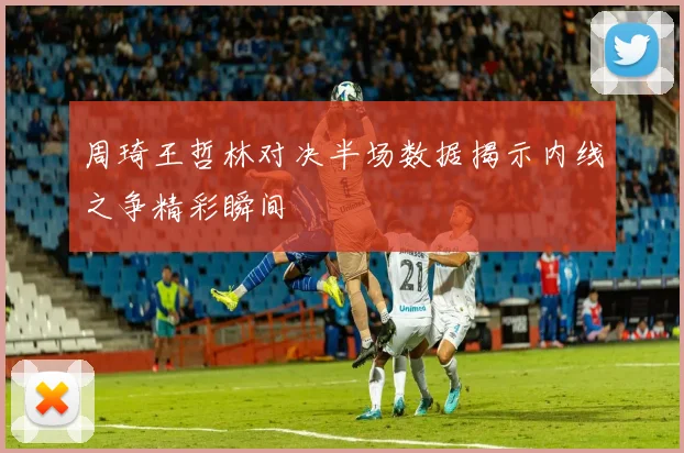 周琦王哲林对决半场数据揭示内线之争精彩瞬间