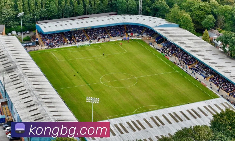 多媒体互动体验